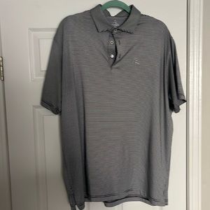 Black and white stripped Rhoback